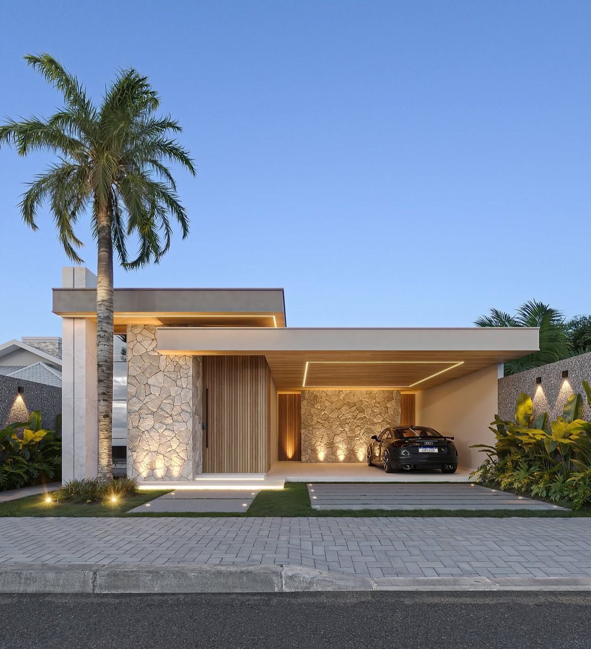 Fachada moderna com palmeira